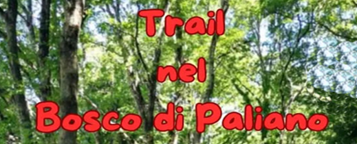 Trail nel Bosco di Paliano